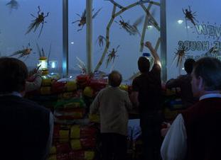 Вышел трейлер фильма ужасов «Мгла»